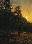 Albert Bierstadt California Redwoods France oil painting artist